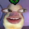 dxcvzfadhlii_