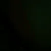 its_sage06