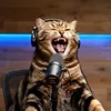 PODCATS🎙️