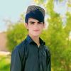 shafi.nasari2
