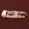 chusnul.aulia.14