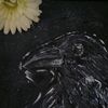 h_arts0