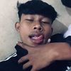 gepengprestelia