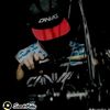 canvas_149