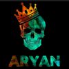 aryan.afridi348
