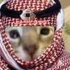 misterlayemoon