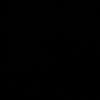 balerino69