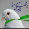 se_kl35