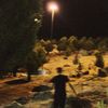 parsa77077