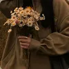 maryamafalihshadh