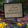 user9987979496161