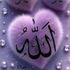 user21956728278752