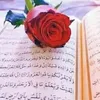 amani.samir4