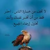 user1171999955732
