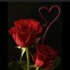 damla.nur572