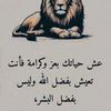 afi24053b2a