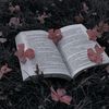 nicole_writes_romantasy
