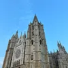 luciabarreiros___