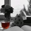 najib.xuseen