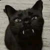 doramiranha