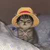 r.