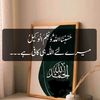 hafizabubakar6517