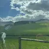 lucatmyair