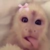 celinabutrs