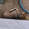 luongngoccc
