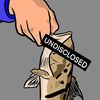 undisclosedfishing