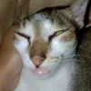 sunmwivo