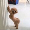spinjutsumaster3