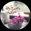 user8017106206680