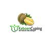 duriancuping