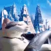 basedsillyguy