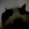 sometiktokcreator