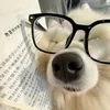 llllllllllliuliu0