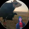 هاشم الكعبي