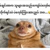 mg.shwe.toke