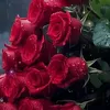 weronika5803