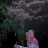 a_ali103