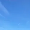 blueocean364