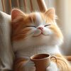 Funny Cute Animals