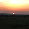 zaharovnikola_ua