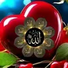 user5766108113811