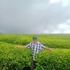 hendryhery265