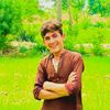 bachasab029