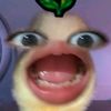 miraa_ptrr5