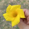 naw.myint.myint.wi