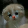 hanip_aeeee